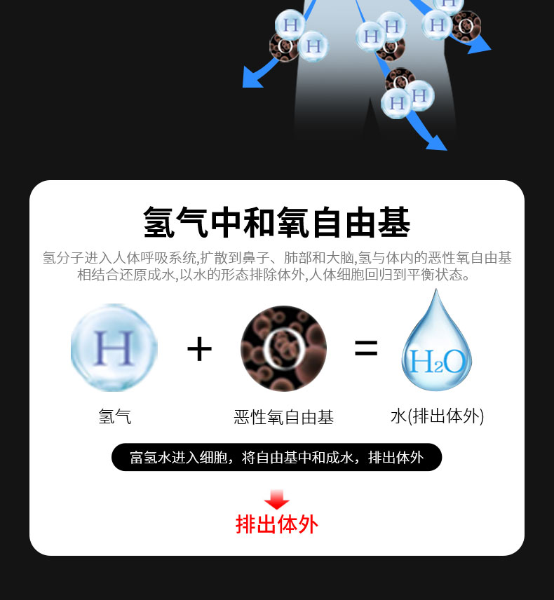 1722828360881385.jpg LS--8013_05.jpg